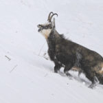 Diaporama - Nos dernières images