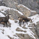 Diaporama - Nos dernières images