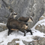 Diaporama - Nos dernières images