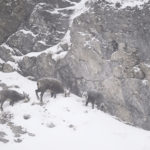 Diaporama - Nos dernières images