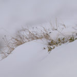 Diaporama - Nos dernières images