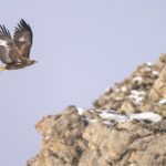 Diaporama - Nos dernières images