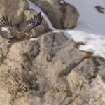 Diaporama - Nos dernières images