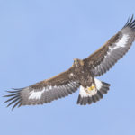 Diaporama - Nos dernières images