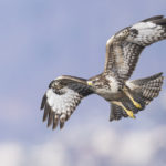 Diaporama - Nos dernières images