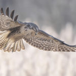 Diaporama - Nos dernières images